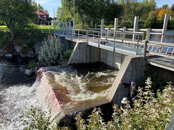 Controlling water level with Boxwall® barrier