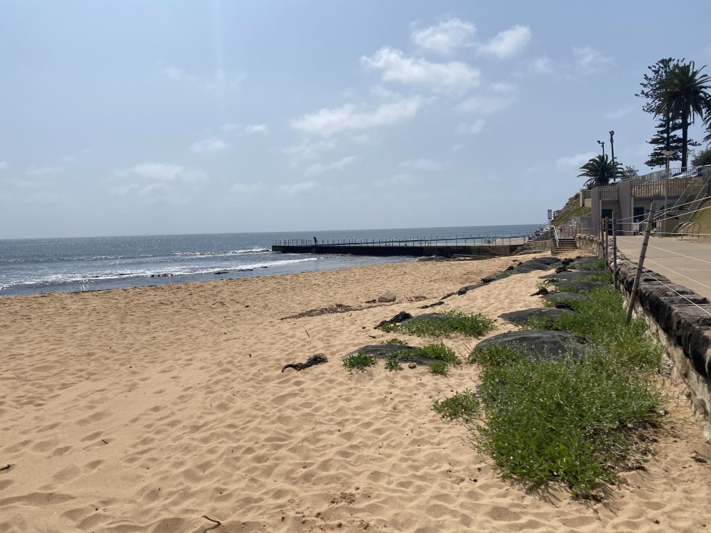 Erosion control in beaches
